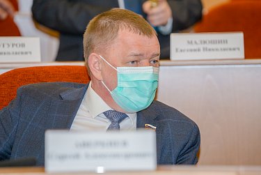 Депутаты приняли отчет полиции 